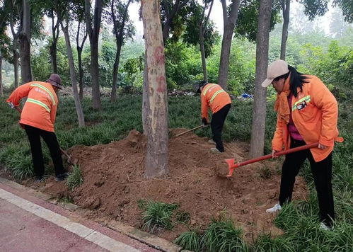 秋季移植添新綠，精細養護煥新顏 樹木種植指南